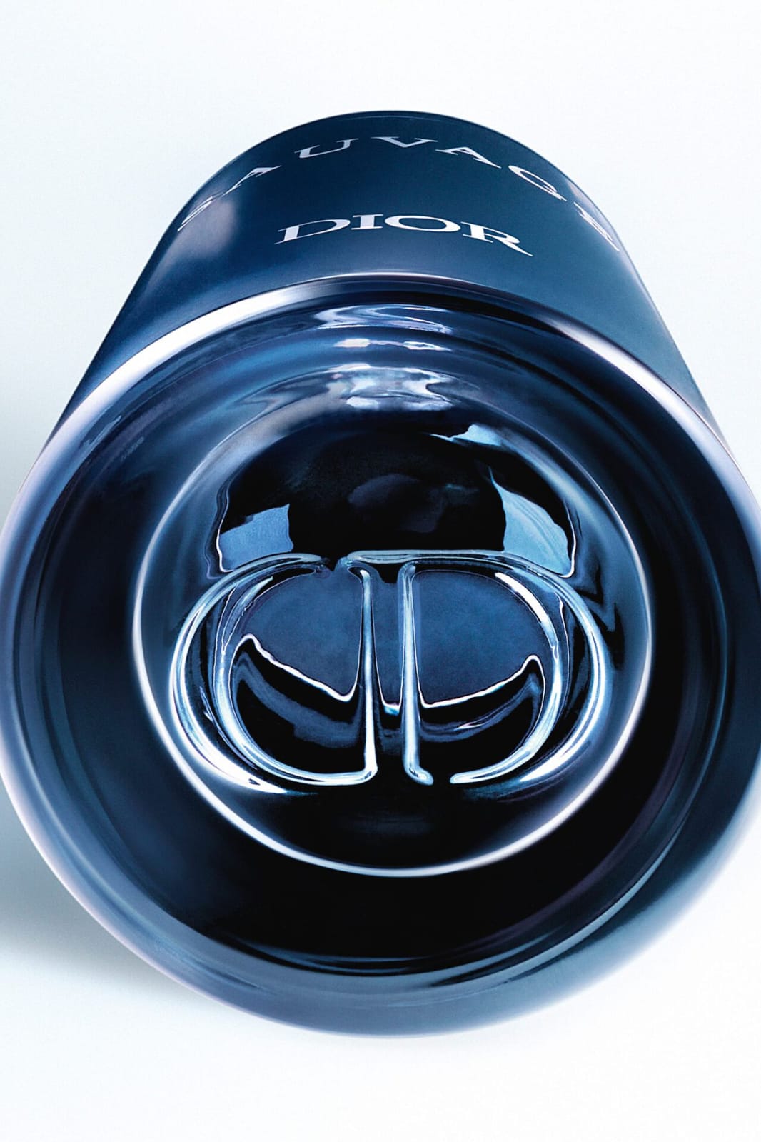 Dior Sauvage Eau de Toilette 100ml